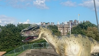 55a252cccc1064d6c73076db9283b1b7